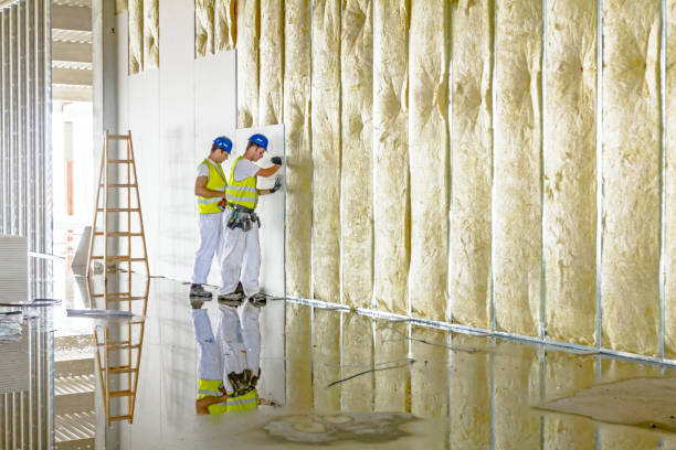 Best Home Insulation Services  in Belfast, ME